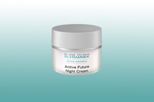 active future night schrammek